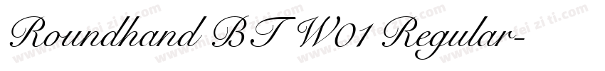 Roundhand BT W01 Regular字体转换